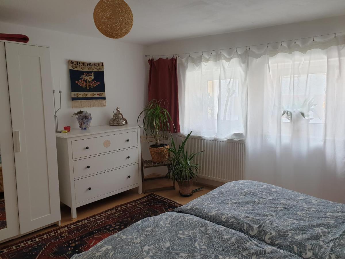 Unser Obervolkacher Ferienhaus-Einfach Gemutlich! Exteriör bild