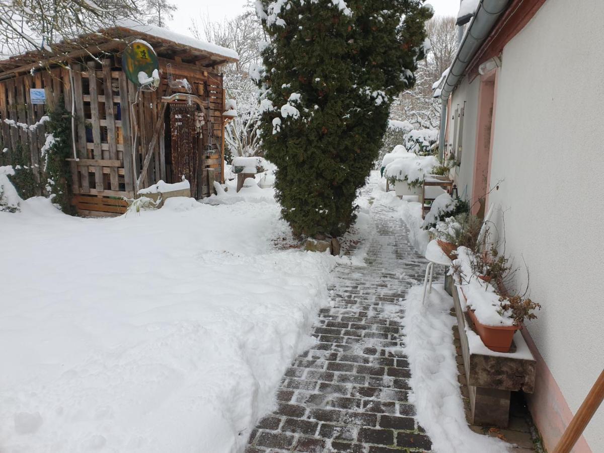 Unser Obervolkacher Ferienhaus-Einfach Gemutlich! Exteriör bild