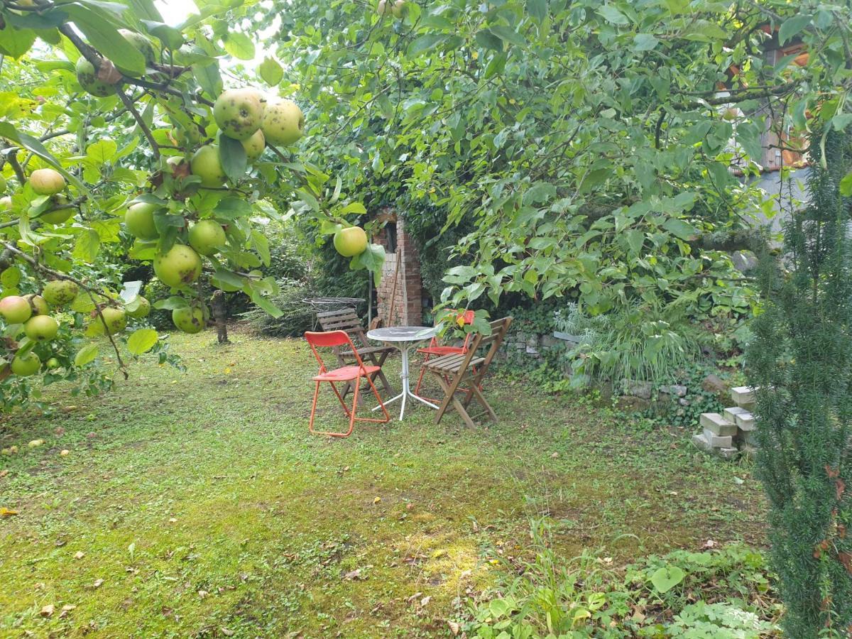 Unser Obervolkacher Ferienhaus-Einfach Gemutlich! Exteriör bild