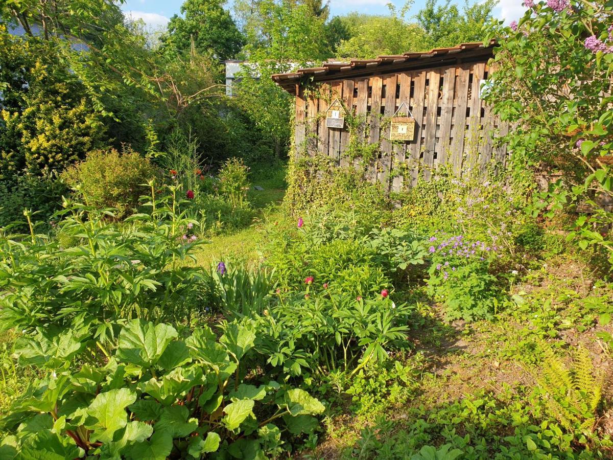 Unser Obervolkacher Ferienhaus-Einfach Gemutlich! Exteriör bild