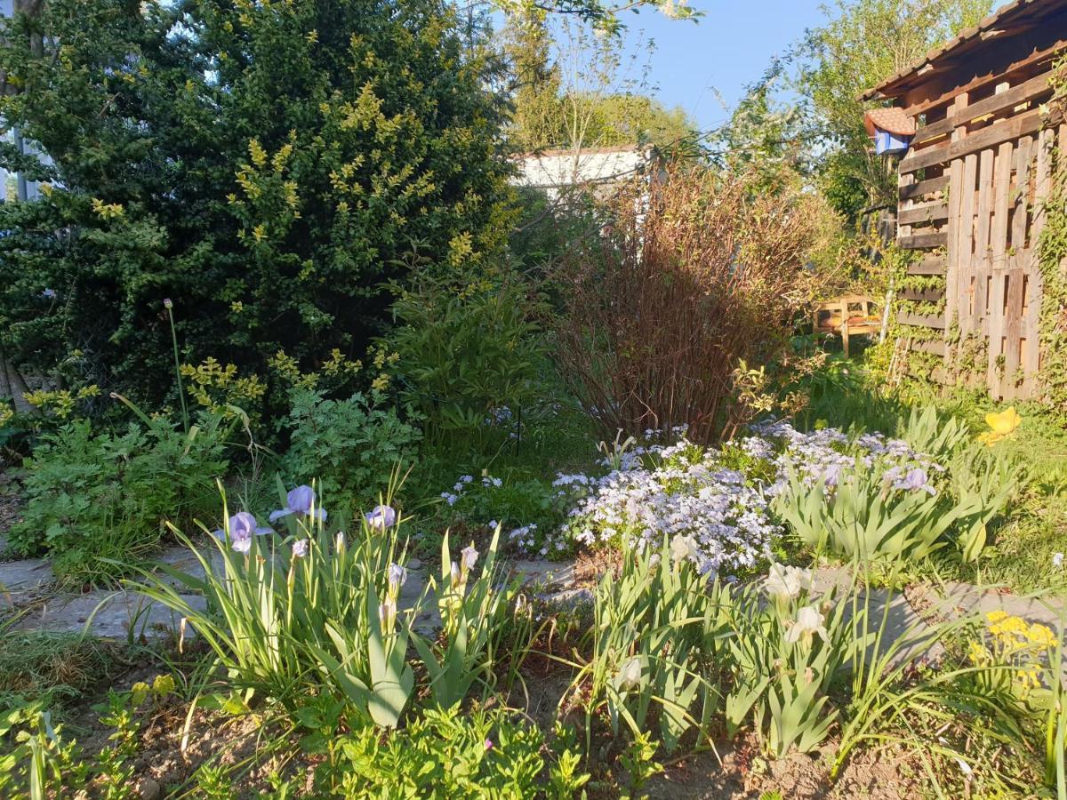 Unser Obervolkacher Ferienhaus-Einfach Gemutlich! Exteriör bild