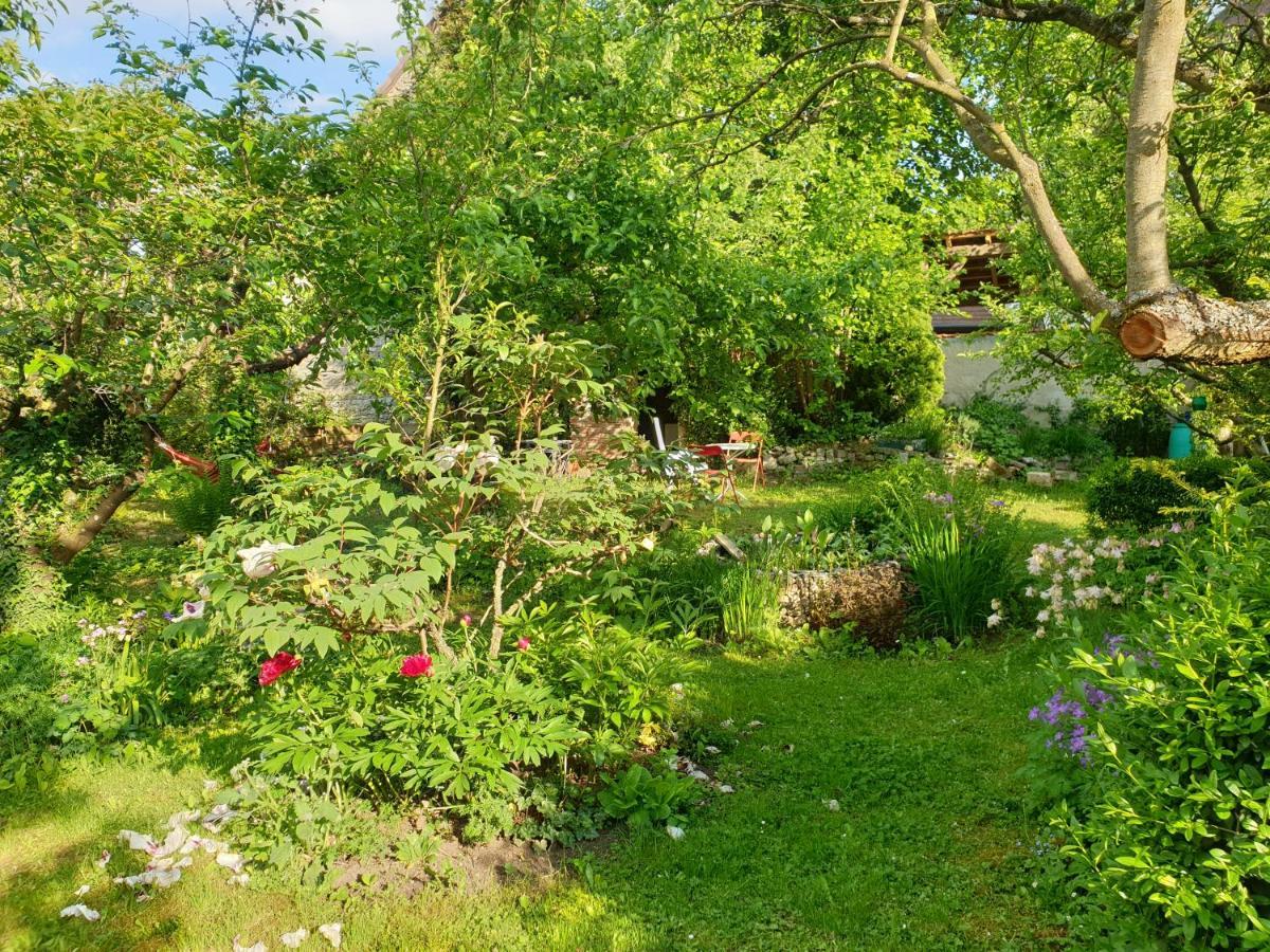 Unser Obervolkacher Ferienhaus-Einfach Gemutlich! Exteriör bild